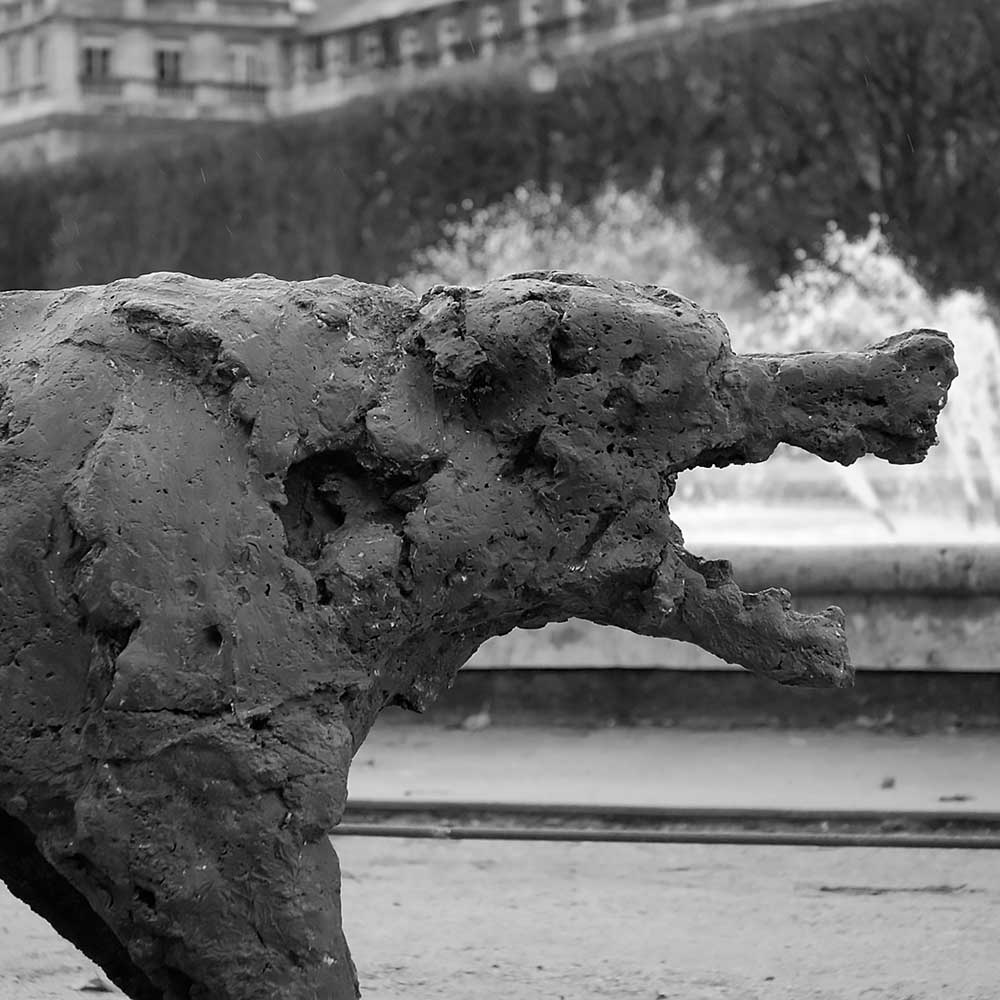 Jardin du Palais Royal