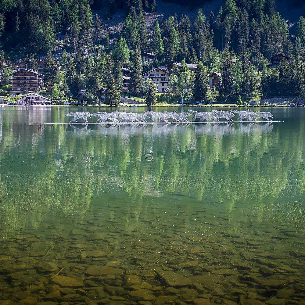 "10 ans de sculpture" Champex-Lac