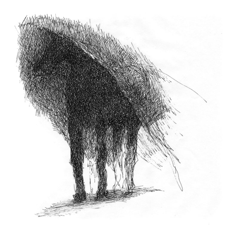 Image plan du site